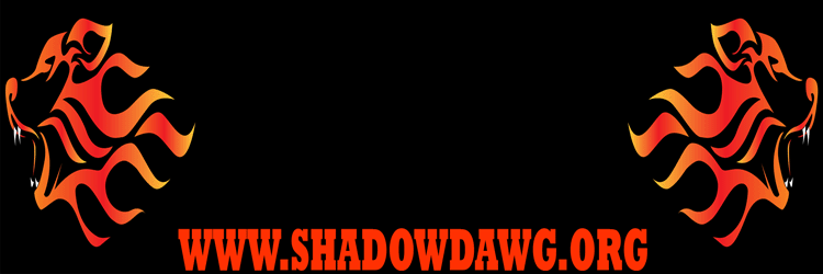 idaho ccw permit-shadow dawg firearms academy in Boise